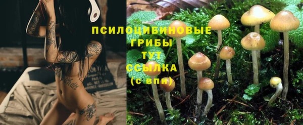 герыч Богородицк