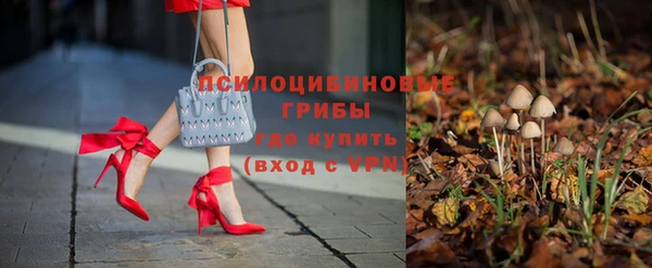 mdma Богданович