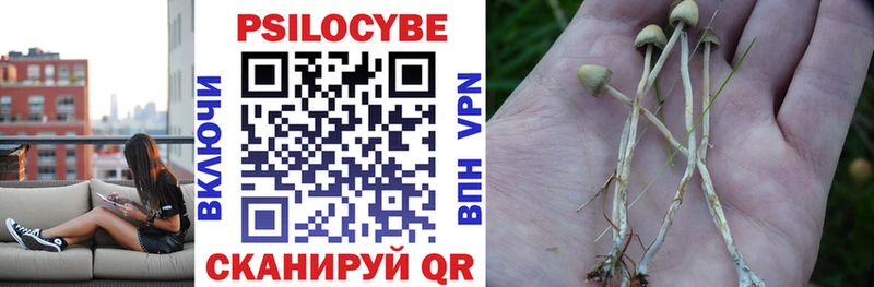 Купить где  Новодвинск  Галлюциногенные грибы MAGIC MUSHROOMS 