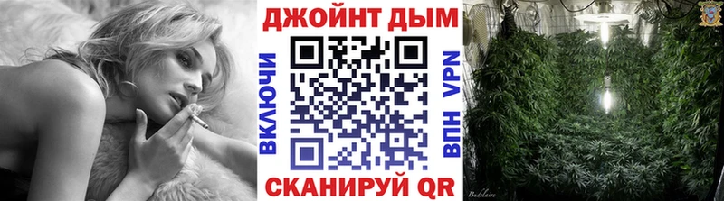 Бошки Шишки MAZAR Новодвинск