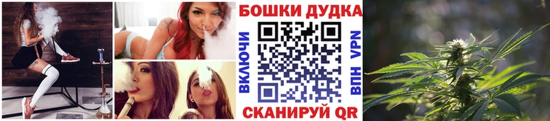 Купить  Новодвинск  Конопля SATIVA & INDICA 
